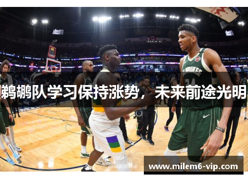 鹈鹕队学习保持涨势，未来前途光明