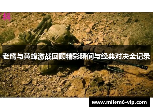 老鹰与黄蜂激战回顾精彩瞬间与经典对决全记录