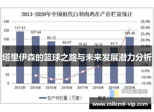 塔里伊森的篮球之路与未来发展潜力分析